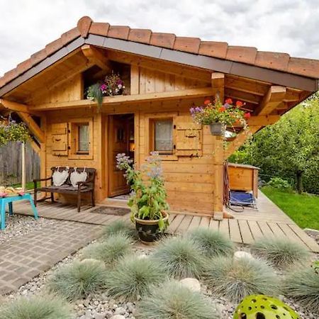 Le Chalet Des 3 Ours Neuvecelle エクステリア 写真