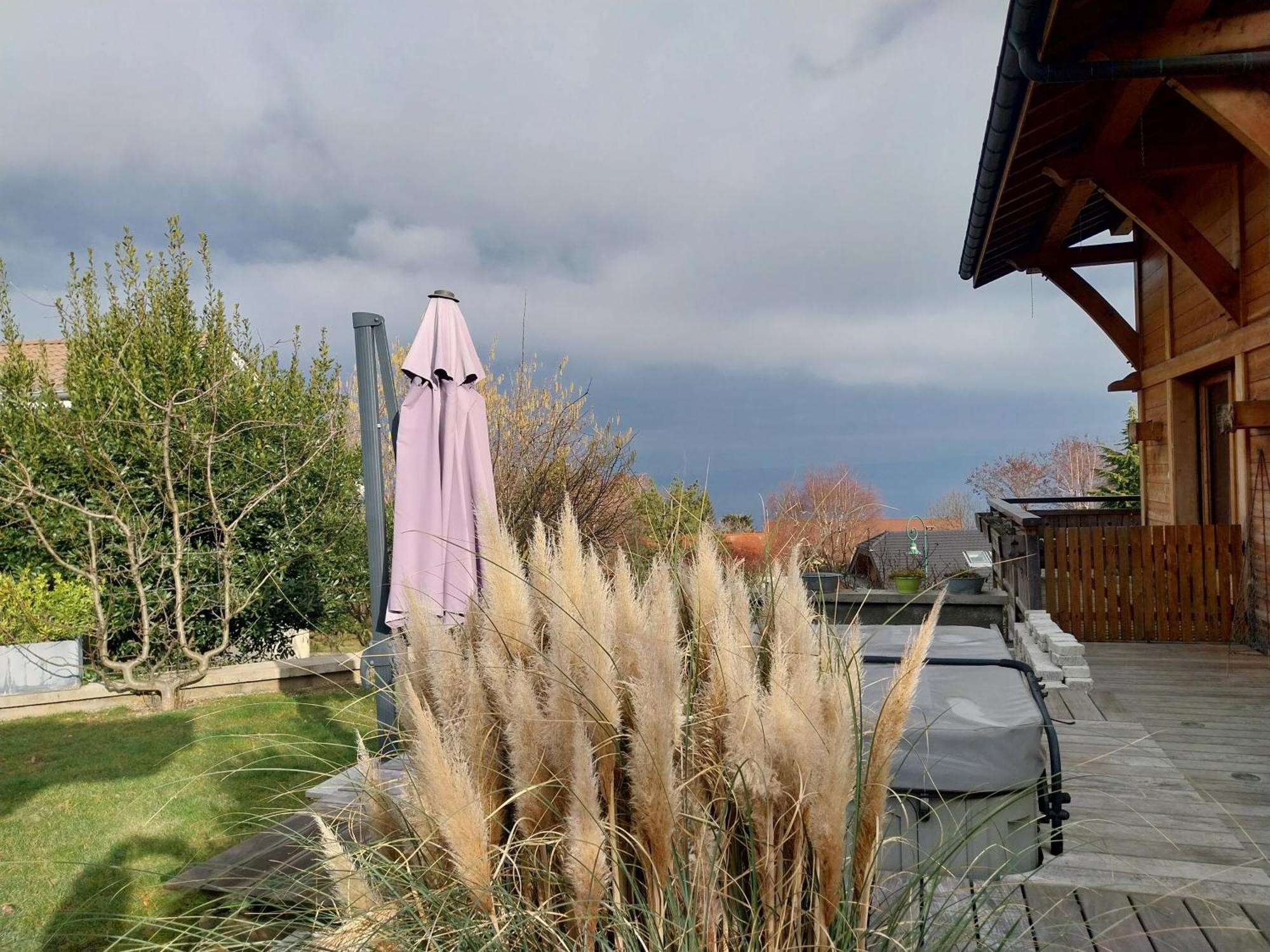 Le Chalet Des 3 Ours Neuvecelle エクステリア 写真